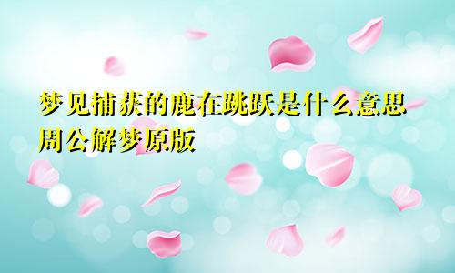 梦见捕获的鹿在跳跃是什么意思周公解梦原版