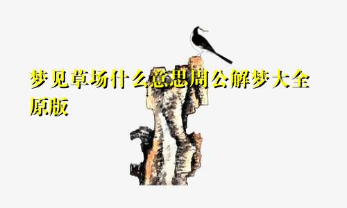 梦见草场什么意思周公解梦大全原版