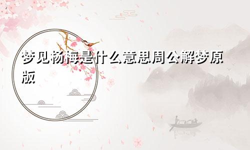 梦见杨梅是什么意思周公解梦原版