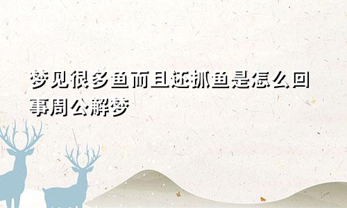 梦见很多鱼而且还抓鱼是怎么回事周公解梦