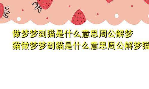 做梦梦到猫是什么意思周公解梦猫做梦梦到猫是什么意思周公解梦猫哭了是啥意思