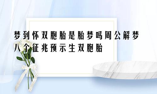 梦到怀双胞胎是胎梦吗周公解梦八个征兆预示生双胞胎