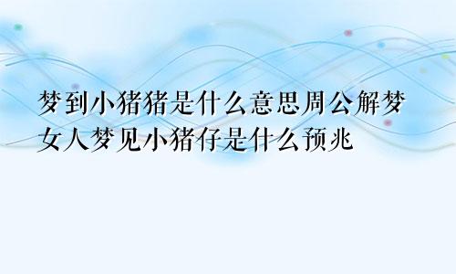 梦到小猪猪是什么意思周公解梦女人梦见小猪仔是什么预兆