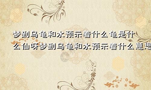 梦到乌龟和水预示着什么龟是什么仙呀梦到乌龟和水预示着什么意思