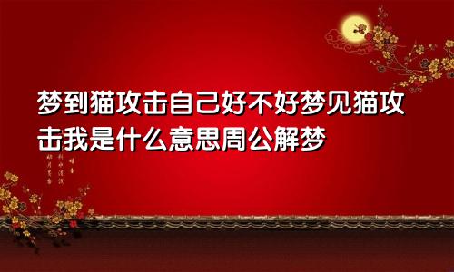 梦到猫攻击自己好不好梦见猫攻击我是什么意思周公解梦