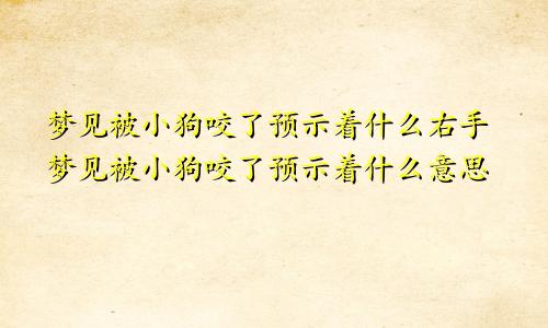 梦见被小狗咬了预示着什么右手梦见被小狗咬了预示着什么意思