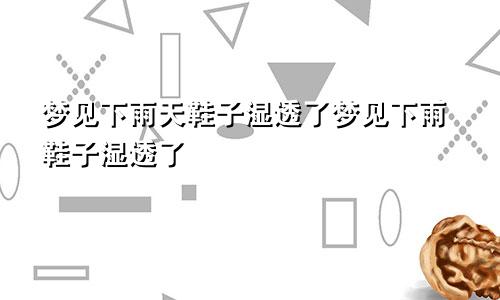 梦见下雨天鞋子湿透了梦见下雨鞋子湿透了