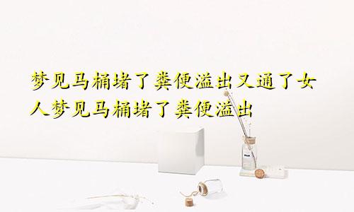 梦见马桶堵了粪便溢出又通了女人梦见马桶堵了粪便溢出