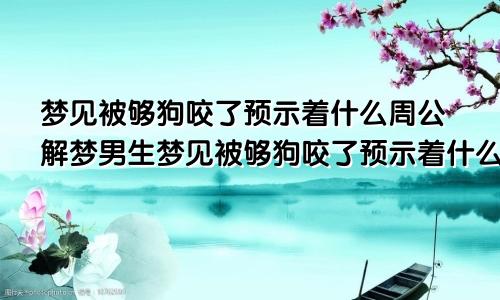 梦见被够狗咬了预示着什么周公解梦男生梦见被够狗咬了预示着什么