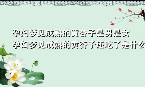 孕妇梦见成熟的黄杏子是男是女孕妇梦见成熟的黄杏子还吃了是什么意思