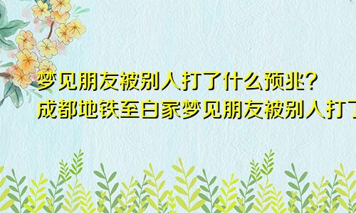 梦见朋友被别人打了什么预兆?成都地铁至白家梦见朋友被别人打了什么预兆