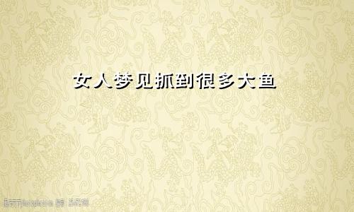 女人梦见抓到很多大鱼