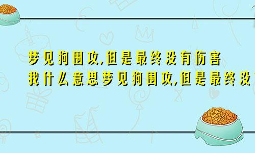 梦见狗围攻,但是最终没有伤害我什么意思梦见狗围攻,但是最终没有伤害我的人