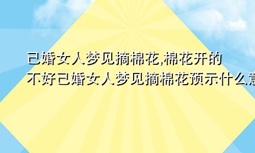 已婚女人梦见摘棉花,棉花开的不好已婚女人梦见摘棉花预示什么意思?