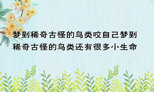 梦到稀奇古怪的鸟类咬自己梦到稀奇古怪的鸟类还有很多小生命