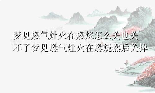 梦见燃气灶火在燃烧怎么关也关不了梦见燃气灶火在燃烧然后关掉