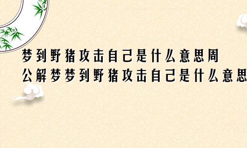 梦到野猪攻击自己是什么意思周公解梦梦到野猪攻击自己是什么意思