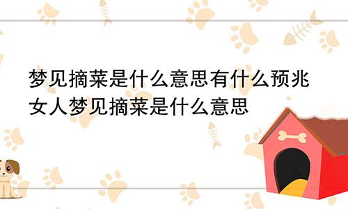 梦见摘菜是什么意思有什么预兆女人梦见摘菜是什么意思