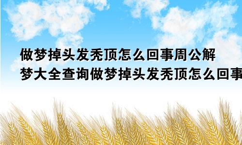 做梦掉头发秃顶怎么回事周公解梦大全查询做梦掉头发秃顶怎么回事周公解梦掉到半秃