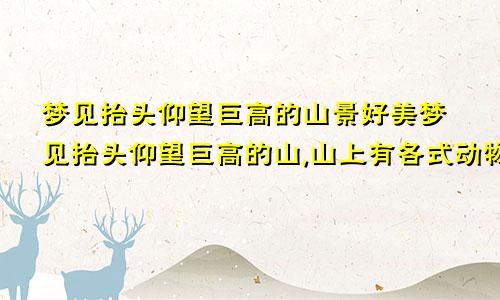 梦见抬头仰望巨高的山景好美梦见抬头仰望巨高的山,山上有各式动物雕塑