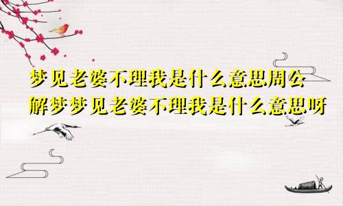 梦见老婆不理我是什么意思周公解梦梦见老婆不理我是什么意思呀