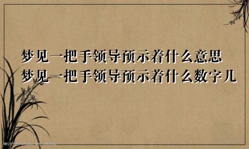 梦见一把手领导预示着什么意思梦见一把手领导预示着什么数字几