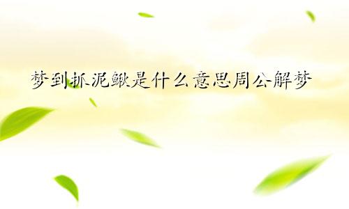 梦到抓泥鳅是什么意思周公解梦