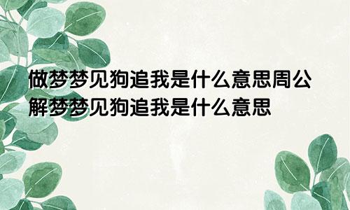 做梦梦见狗追我是什么意思周公解梦梦见狗追我是什么意思