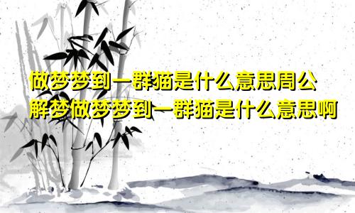 做梦梦到一群猫是什么意思周公解梦做梦梦到一群猫是什么意思啊