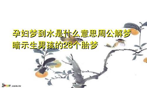 孕妇梦到水是什么意思周公解梦暗示生男孩的28个胎梦