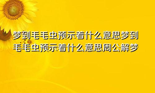 梦到毛毛虫预示着什么意思梦到毛毛虫预示着什么意思周公解梦