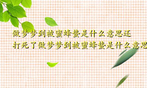 做梦梦到被蜜蜂蛰是什么意思还打死了做梦梦到被蜜蜂蛰是什么意思啊