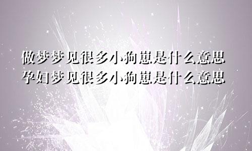 做梦梦见很多小狗崽是什么意思孕妇梦见很多小狗崽是什么意思