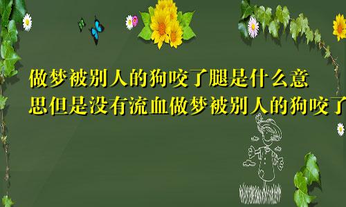 做梦被别人的狗咬了腿是什么意思但是没有流血做梦被别人的狗咬了腿是什么意思还双宝胎怀了