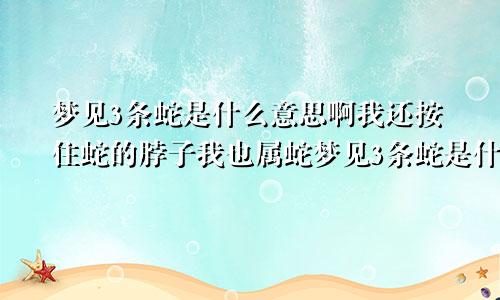 梦见3条蛇是什么意思啊我还按住蛇的脖子我也属蛇梦见3条蛇是什么意思啊男性