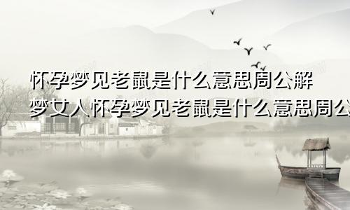 怀孕梦见老鼠是什么意思周公解梦女人怀孕梦见老鼠是什么意思周公解梦