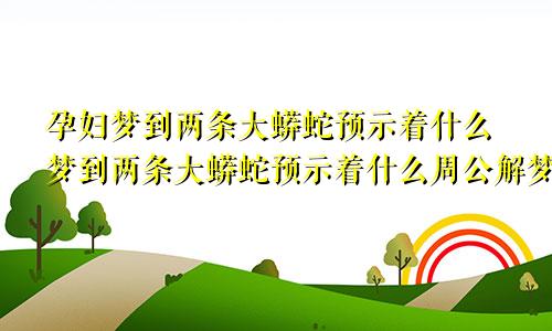 孕妇梦到两条大蟒蛇预示着什么梦到两条大蟒蛇预示着什么周公解梦