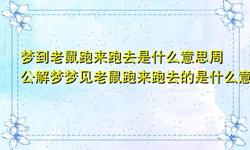 梦到老鼠跑来跑去是什么意思周公解梦梦见老鼠跑来跑去的是什么意思