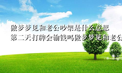 做梦梦见和老公吵架是什么意思第二天打牌会输钱吗做梦梦见和老公吵架是什么意思孕妇