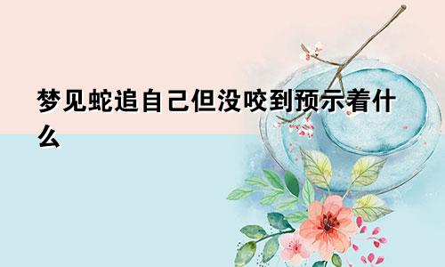 梦见蛇追自己但没咬到预示着什么