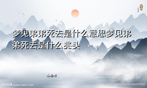 梦见弟弟死去是什么意思梦见弟弟死去是什么兆头