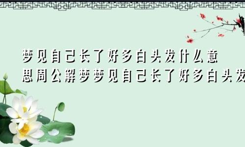 梦见自己长了好多白头发什么意思周公解梦梦见自己长了好多白头发什么意思白头发