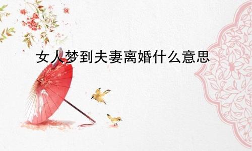 女人梦到夫妻离婚什么意思