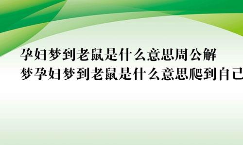 孕妇梦到老鼠是什么意思周公解梦孕妇梦到老鼠是什么意思爬到自己身上