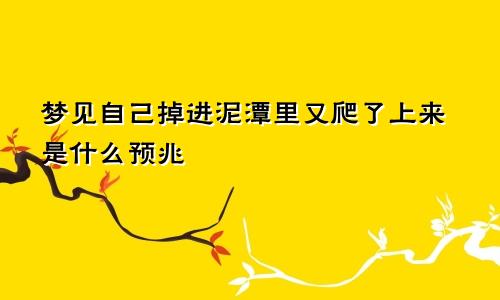 梦见自己掉进泥潭里又爬了上来是什么预兆