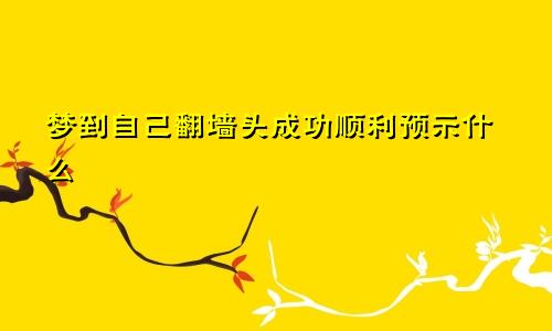 梦到自己翻墙头成功顺利预示什么