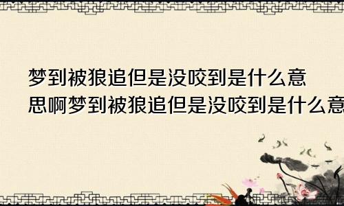 梦到被狼追但是没咬到是什么意思啊梦到被狼追但是没咬到是什么意思呀