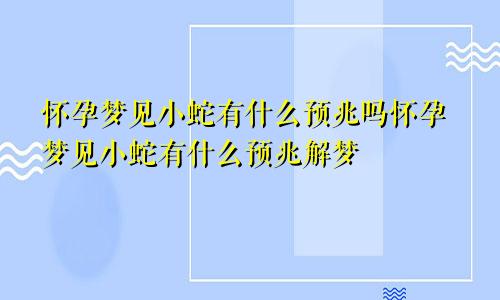 怀孕梦见小蛇有什么预兆吗怀孕梦见小蛇有什么预兆解梦