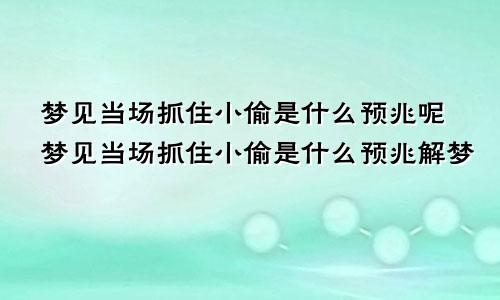 梦见当场抓住小偷是什么预兆呢梦见当场抓住小偷是什么预兆解梦