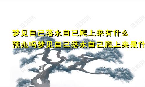 梦见自己落水自己爬上来有什么预兆吗梦见自己落水自己爬上来是什么意思